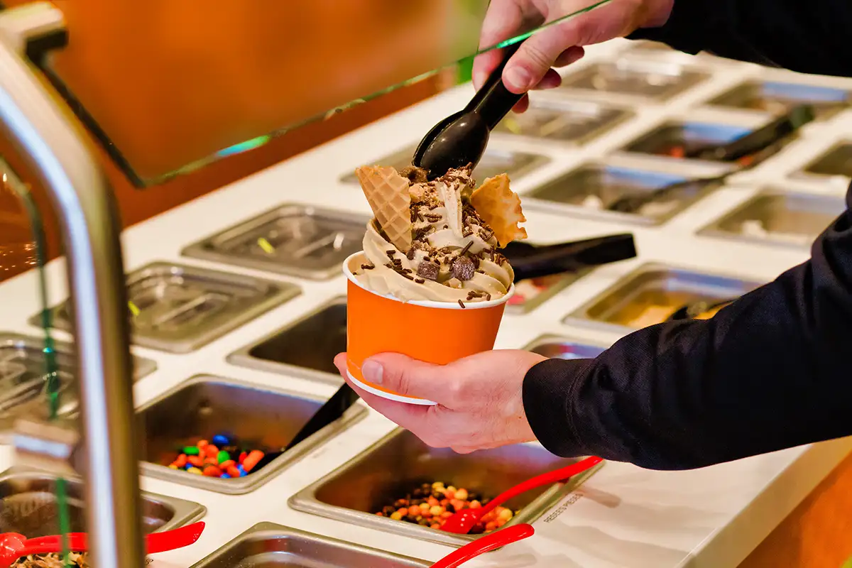 Frozen Yogurt Vs Ice Cream