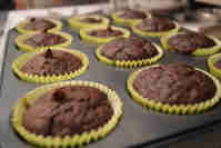 chocolatecupcakes.jpg