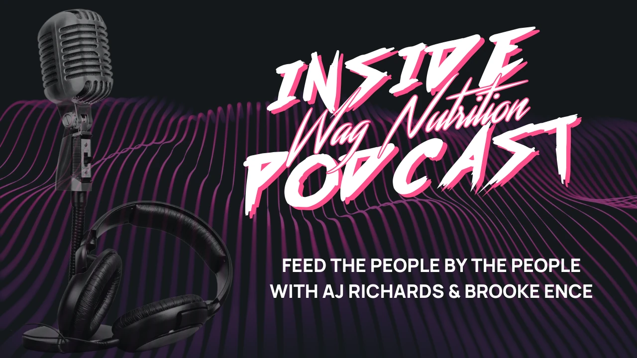 Podcast Header Image