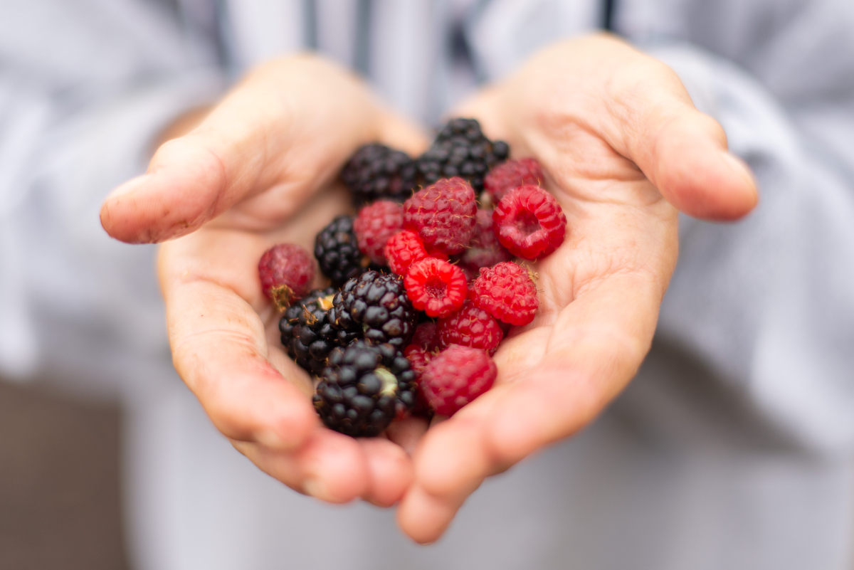 What Should I Eat To Support My Immune System