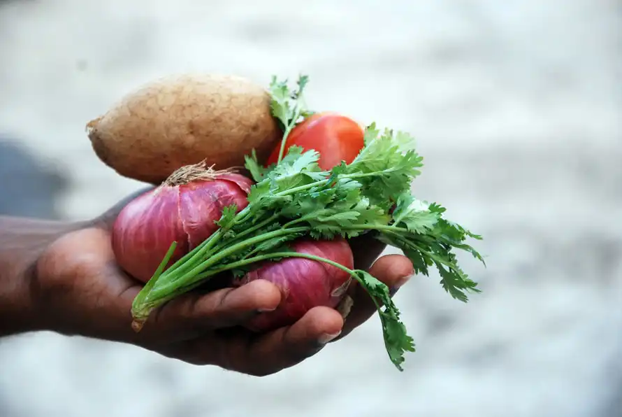 why are micronutrients important?