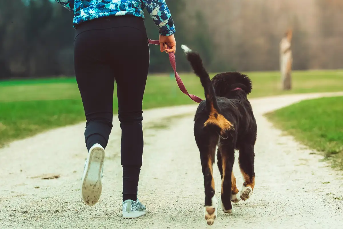 Best Health Podcsats