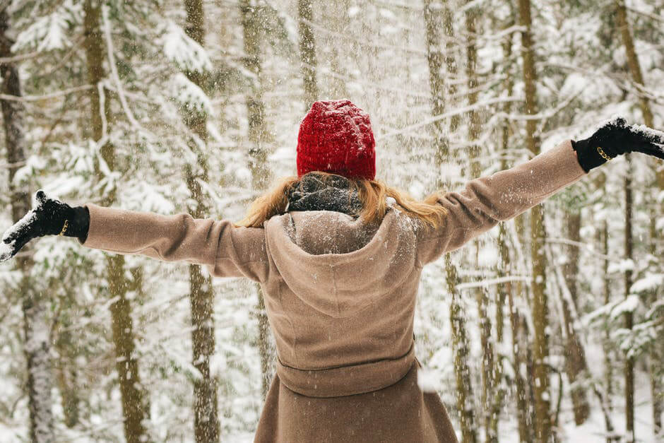 WinterSurvival.jpg (1)