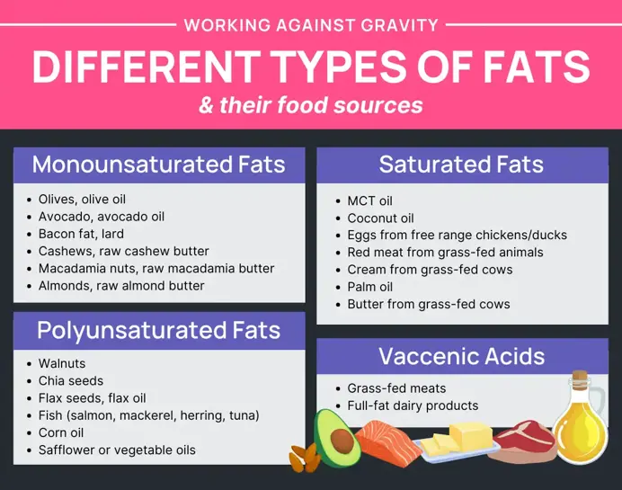 types of fat and food sources