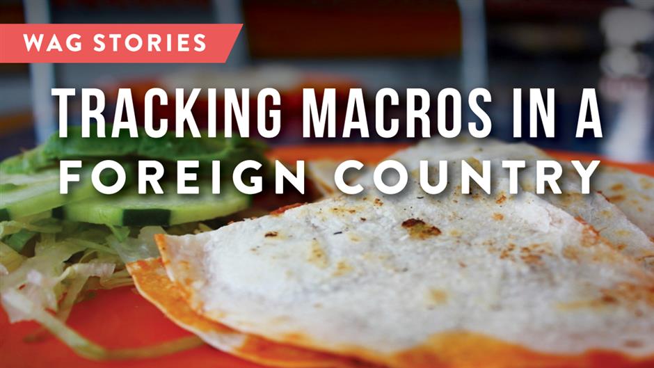 WAG-Youtube-Thumbnails-WAGStories-TrackingMacrosForeignCountry.jpg (1)