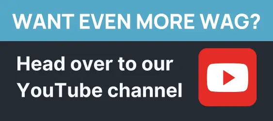 Subscribe on YouTube