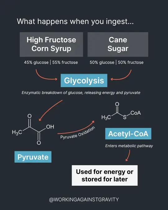 HFCS vs cane sugar (1080 x 1350 px) (540 x 675 px).webp