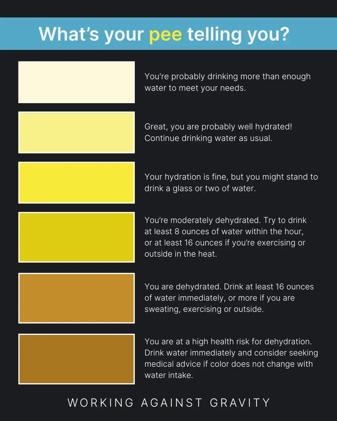 What’s your pee telling you.webp