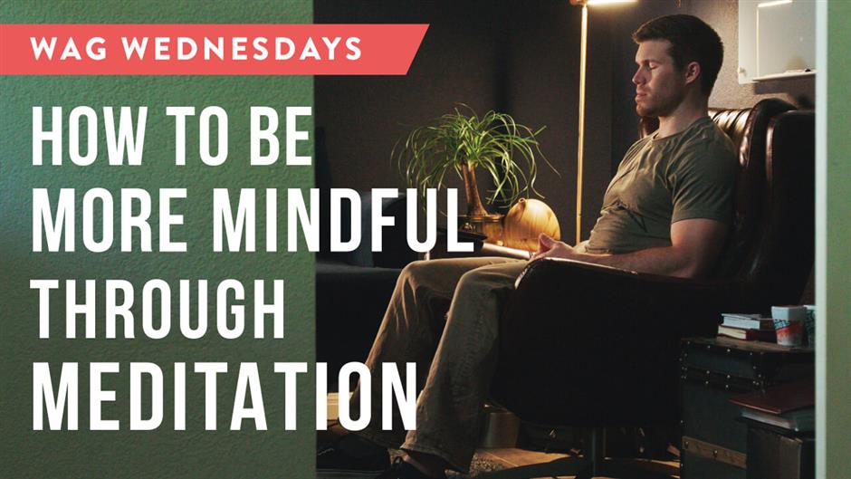 WAG-Youtube-Thumbnails-Mindfulness-Through-Meditation.jpg (1)