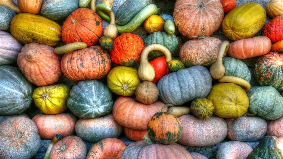 EatWithSeasons.jpeg (1)
