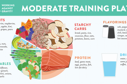 Moderate-Training-Plate.jpg (1)