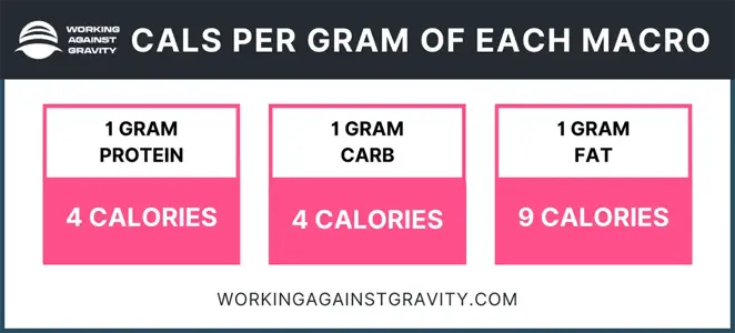 calories per gram of macro
