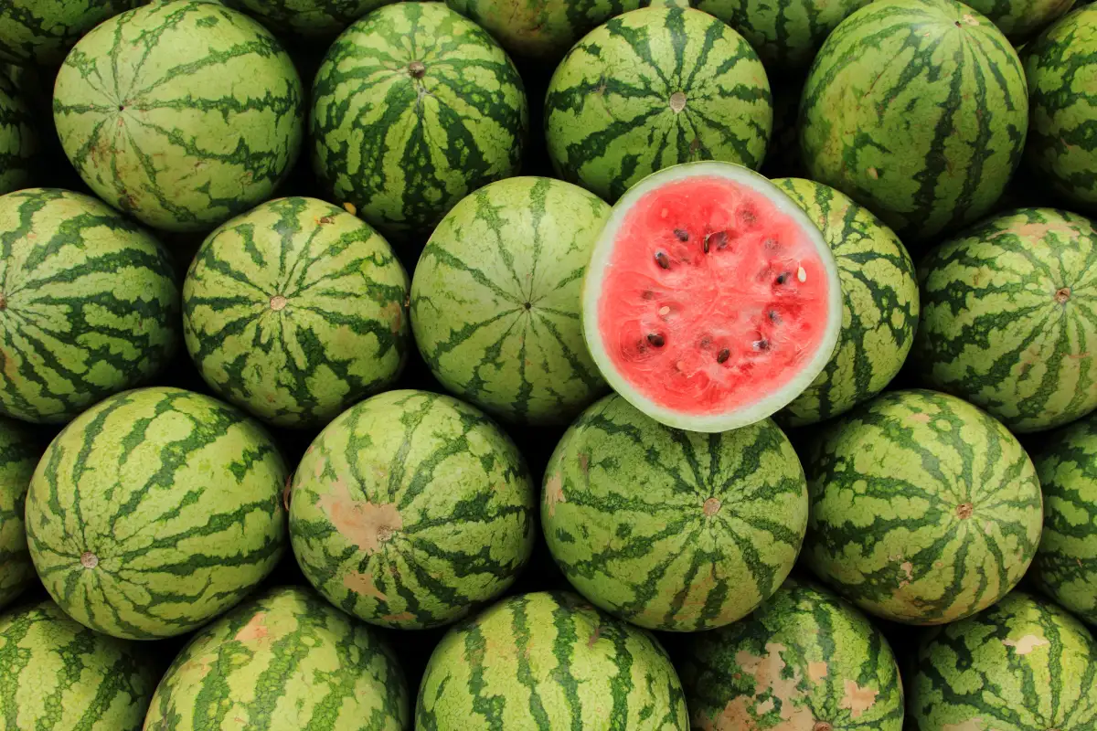 Foods High In Water