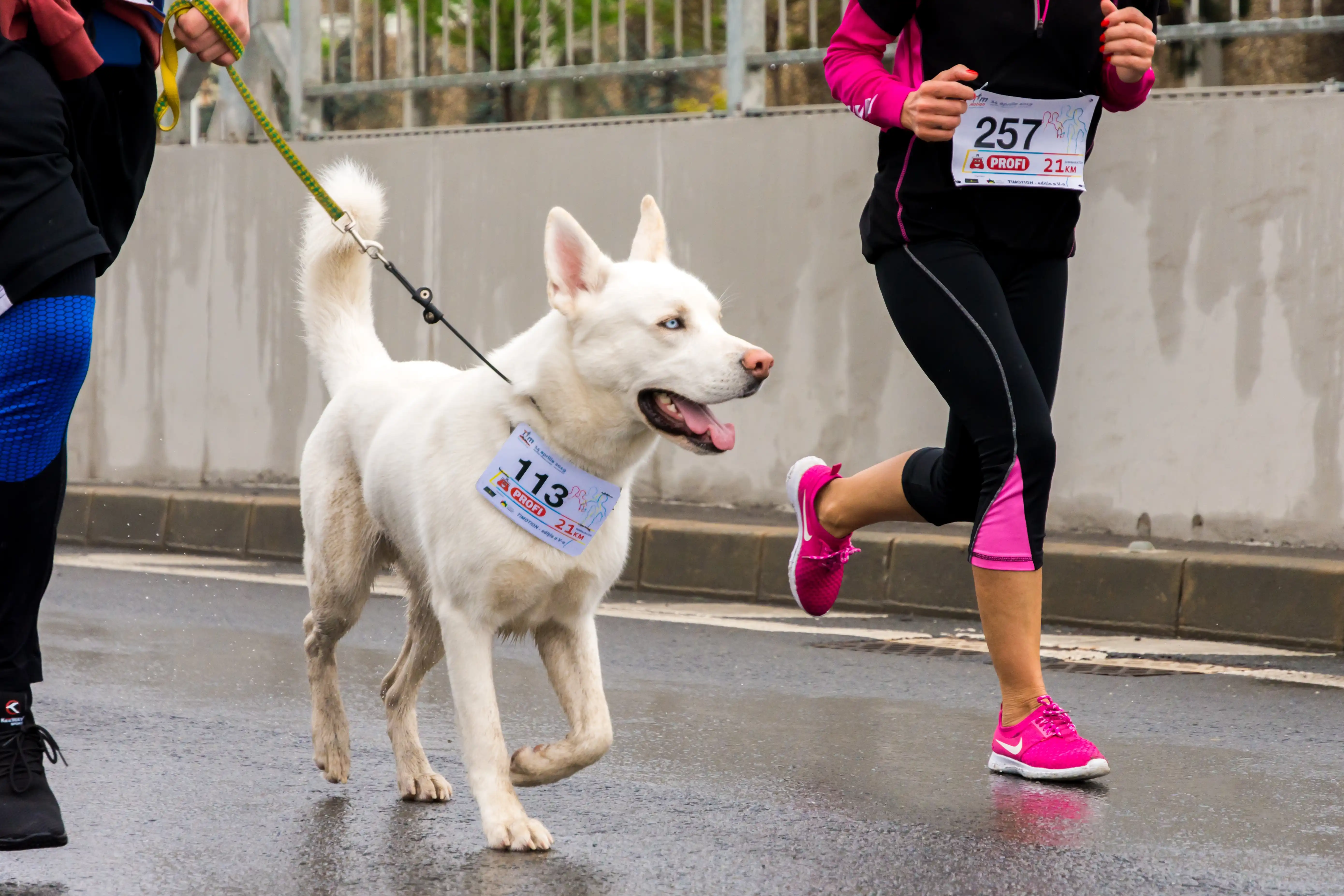 Nutrition Tips For Marathon Runners—Working Against Gravity Nutrition