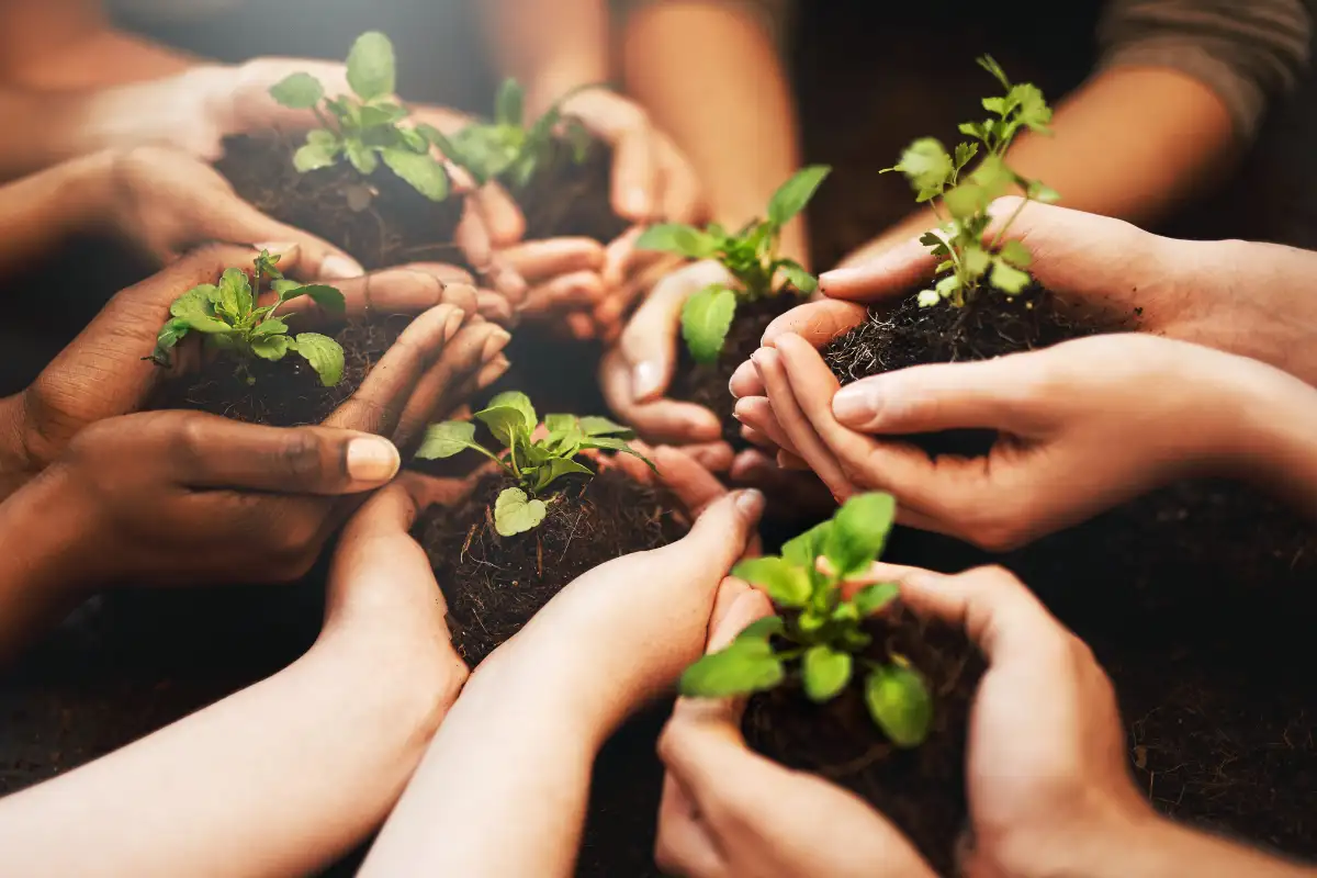 Sustainable Eating: How to Reduce Food Waste and Environmental Impact