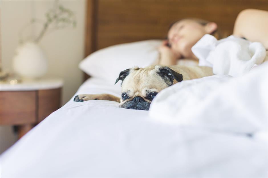 Maximize Your Sleep Gains