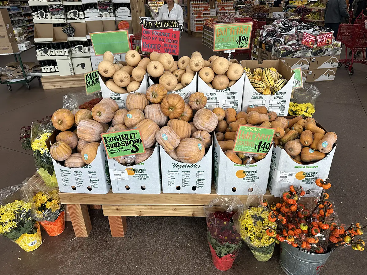 Trader Joe's Fall Favorites 2024 WAG Nutrition